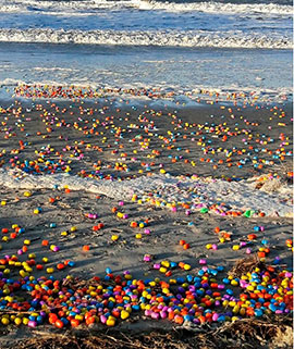 Волны выбросили на берег несколько тысяч пластиковых яиц с игрушками внутри.