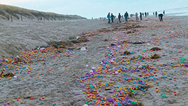 Разноцветные «киндер-сюрпризы» буквально усыпали 500-метровый пляж острова.